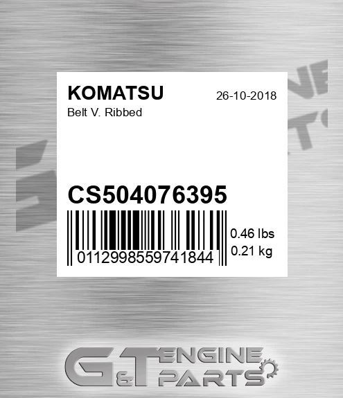 CS504076395 Belt V. Ribbed