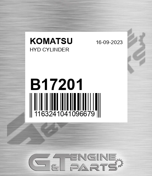 B17201 Hyd Cylinder