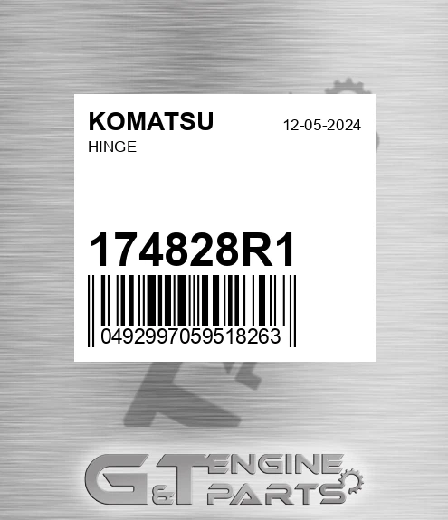 174828R1 Hinge