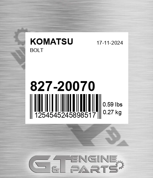 827-20070 Bolt