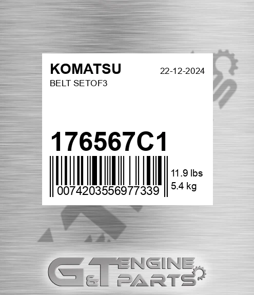 176567C1 Belt Setof3