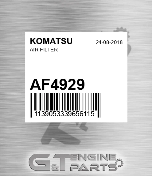 AF4929 Air Filter