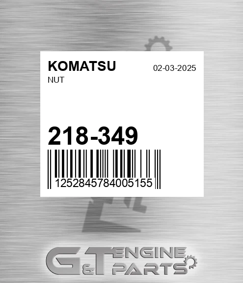 218-349 Nut