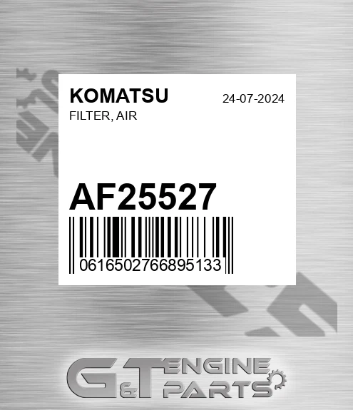 AF25527 Filter, Air