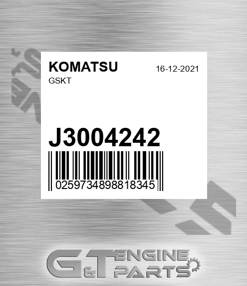 J3004242 Gskt
