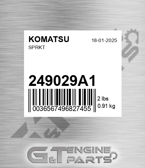 249029A1 Sprkt