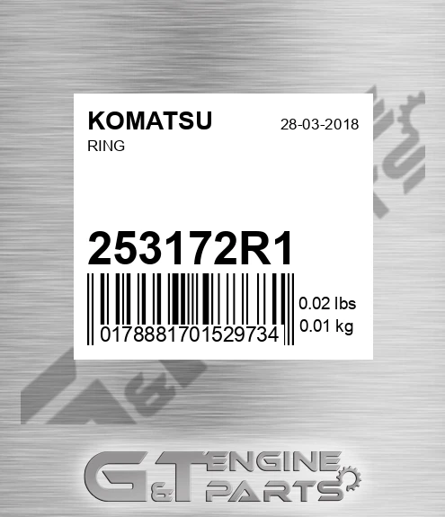 253172R1 Ring