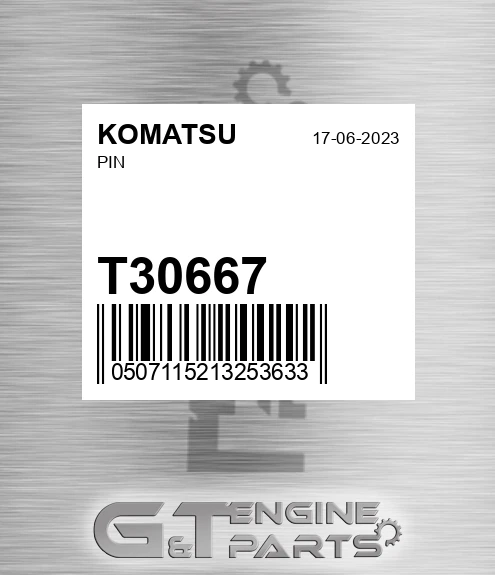 T30667 Pin