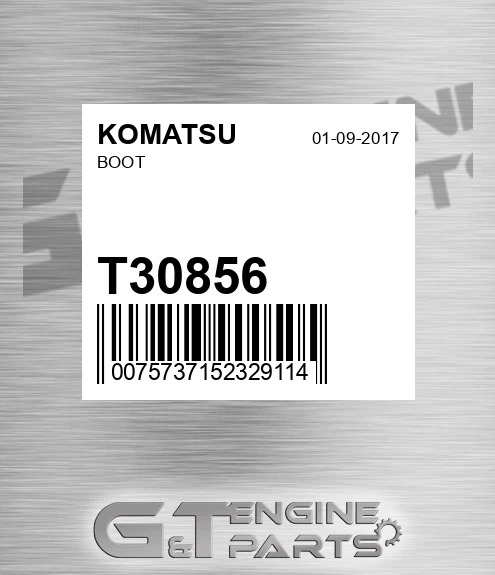 T30856 Boot