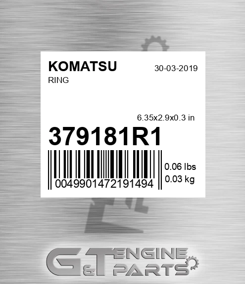 379181R1 Ring for KOMATSU