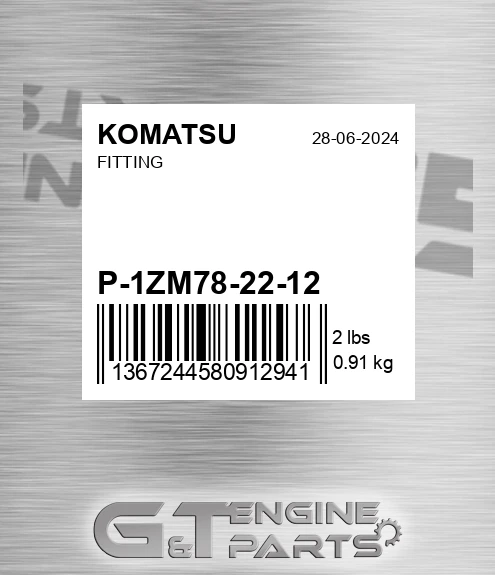 P1ZM78-22-12 Fitting