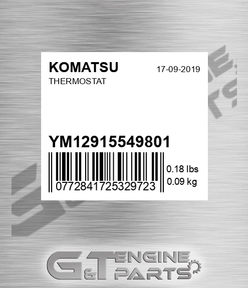YM12915549801 Thermostat