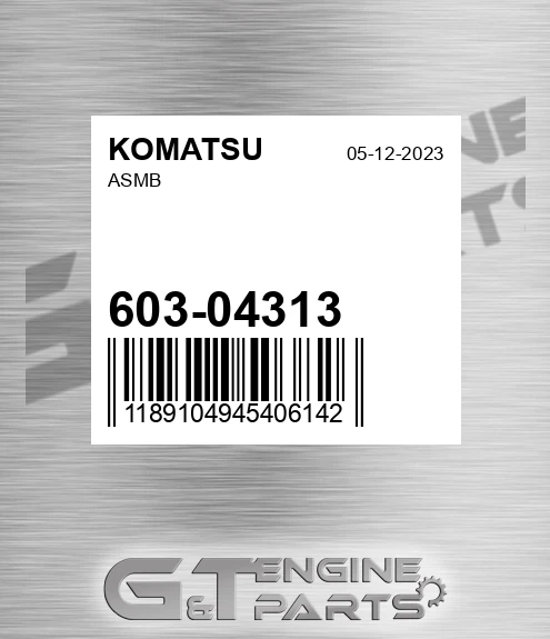 603-04313 Asmb