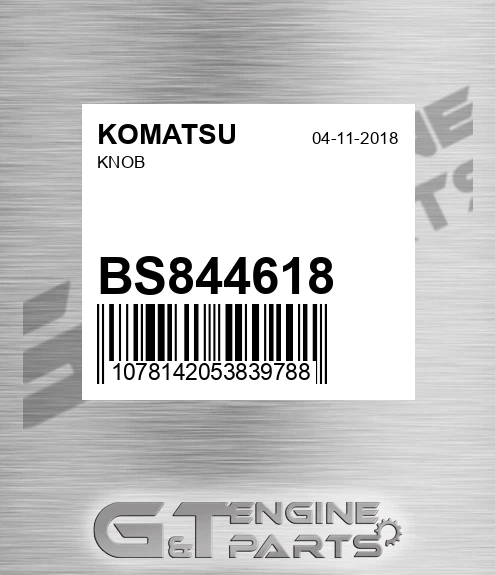 BS844618 Knob