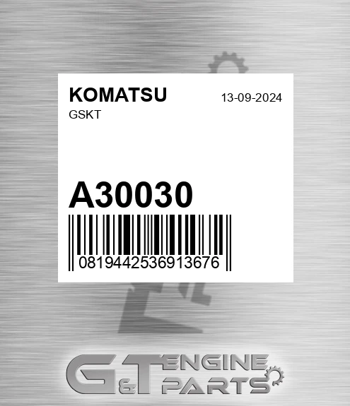 A30030 Gskt