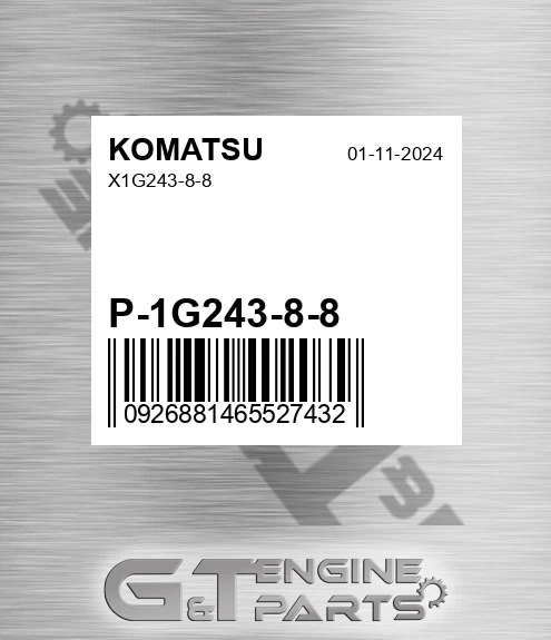 P-1G243-8-8 X1g243-8-8