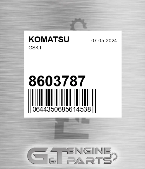 8603787 Gskt