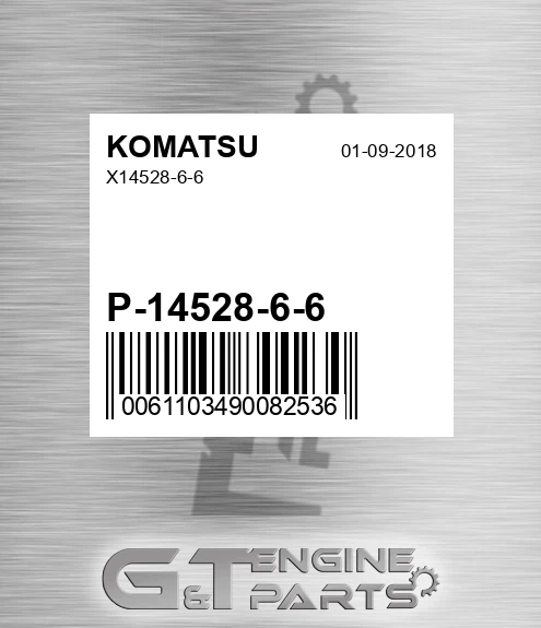 P-14528-6-6 X14528-6-6