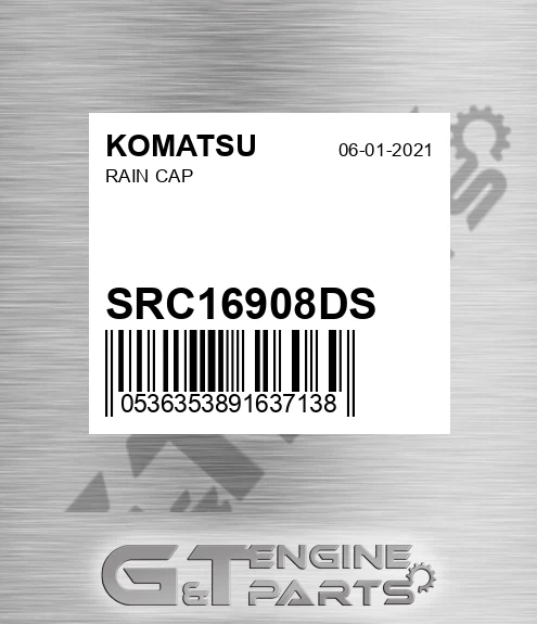 SRC16908DS Rain Cap