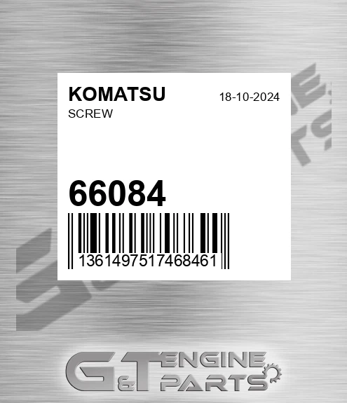 66084 Screw