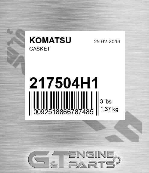 217504H1 Gasket