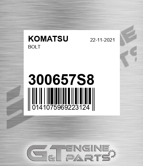 300657S8 Bolt