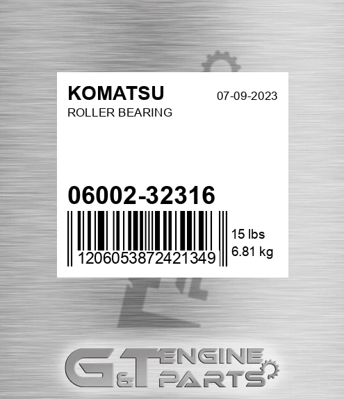 06002-32316 Roller Bearing for KOMATSU