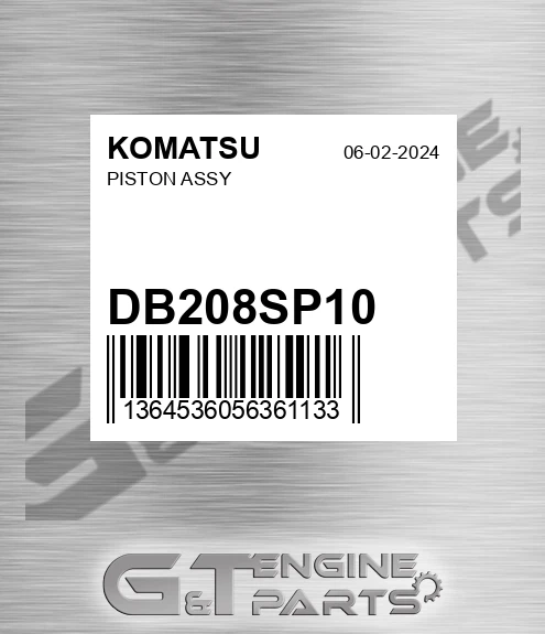 DB208SP10 Piston Assy