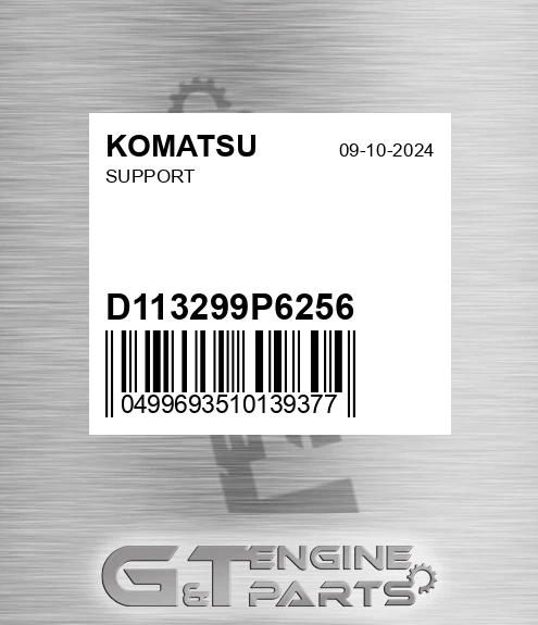 D113299P6256 Support