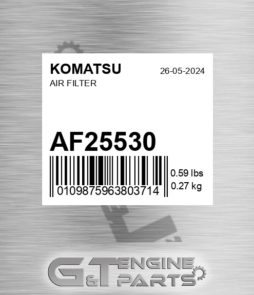 AF25530 Air Filter
