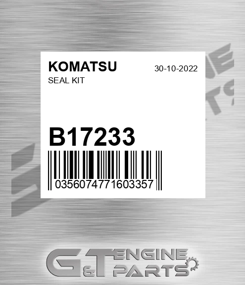 B17233 Seal Kit