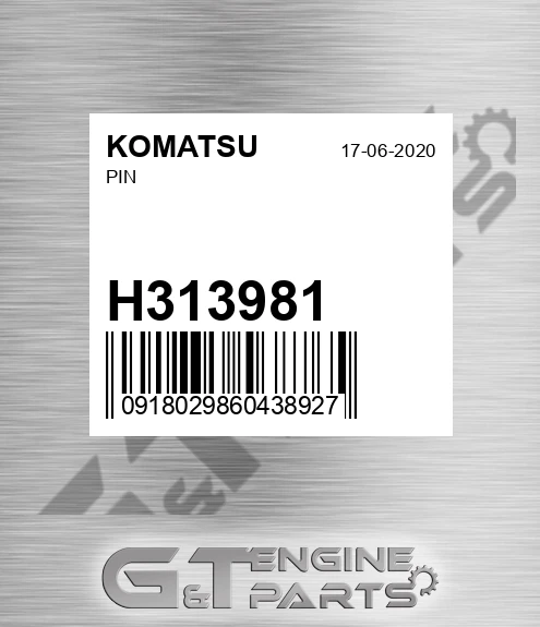 H313981 Pin