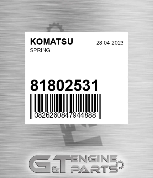 81802531 KOMATSU Spring