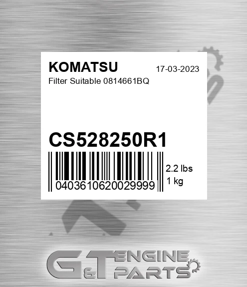 CS528250R1 Filter Suitable 0814661bq