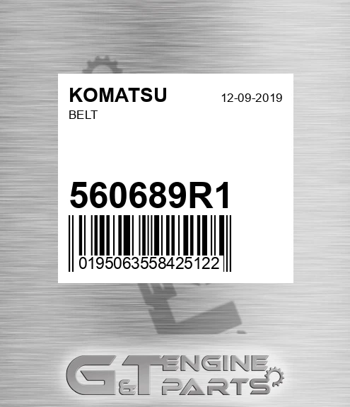 560689R1 Belt