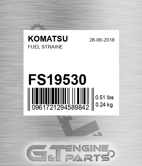 FS19530 Fuel Straine