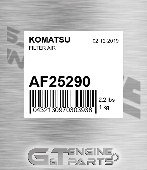 AF25290 Filter Air