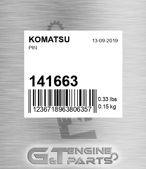 141663 Pin