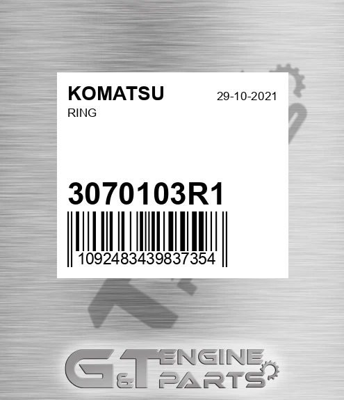 3070103R1 Ring