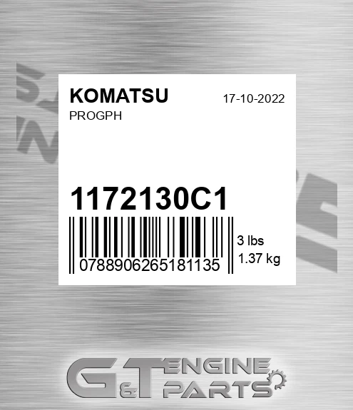 1172130C1 Progph