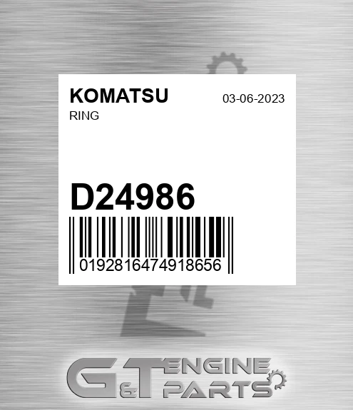 D24986 Ring