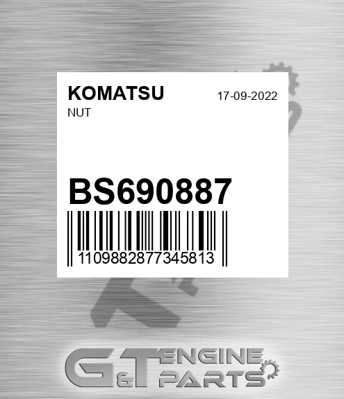 BS690887 Nut