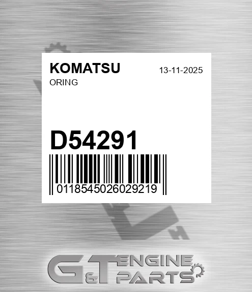 D54291 KOMATSU Oring