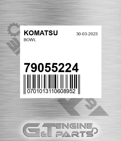 79055224 KOMATSU Bowl