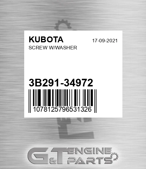 3B291-34972 Screw W/washer
