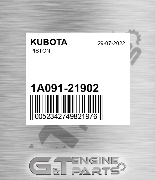 1A091-21902 Piston