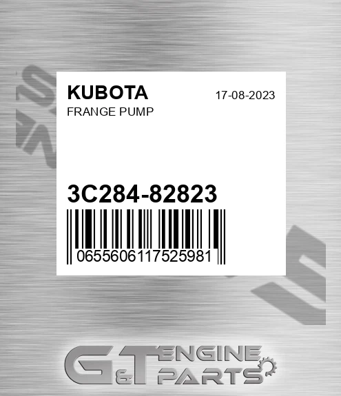 3C284-82823 Frange Pump