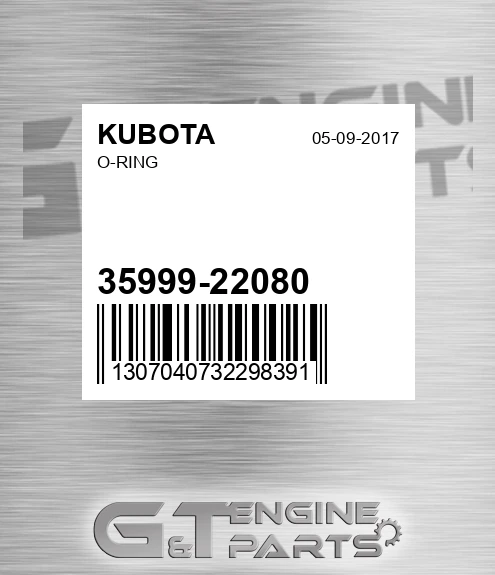 35999-22080 O-ring