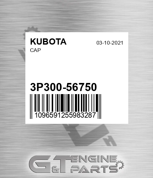 3P300-56750 Cap