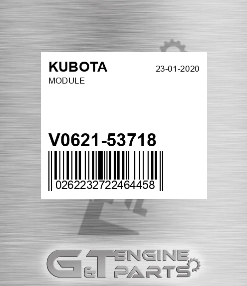 V0621-53718 Module